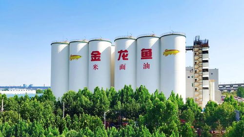 益海嘉里金龍魚八赴進(jìn)博之約 以科技健康雙輪驅(qū)動(dòng)，三季度業(yè)績穩(wěn)中有進(jìn)